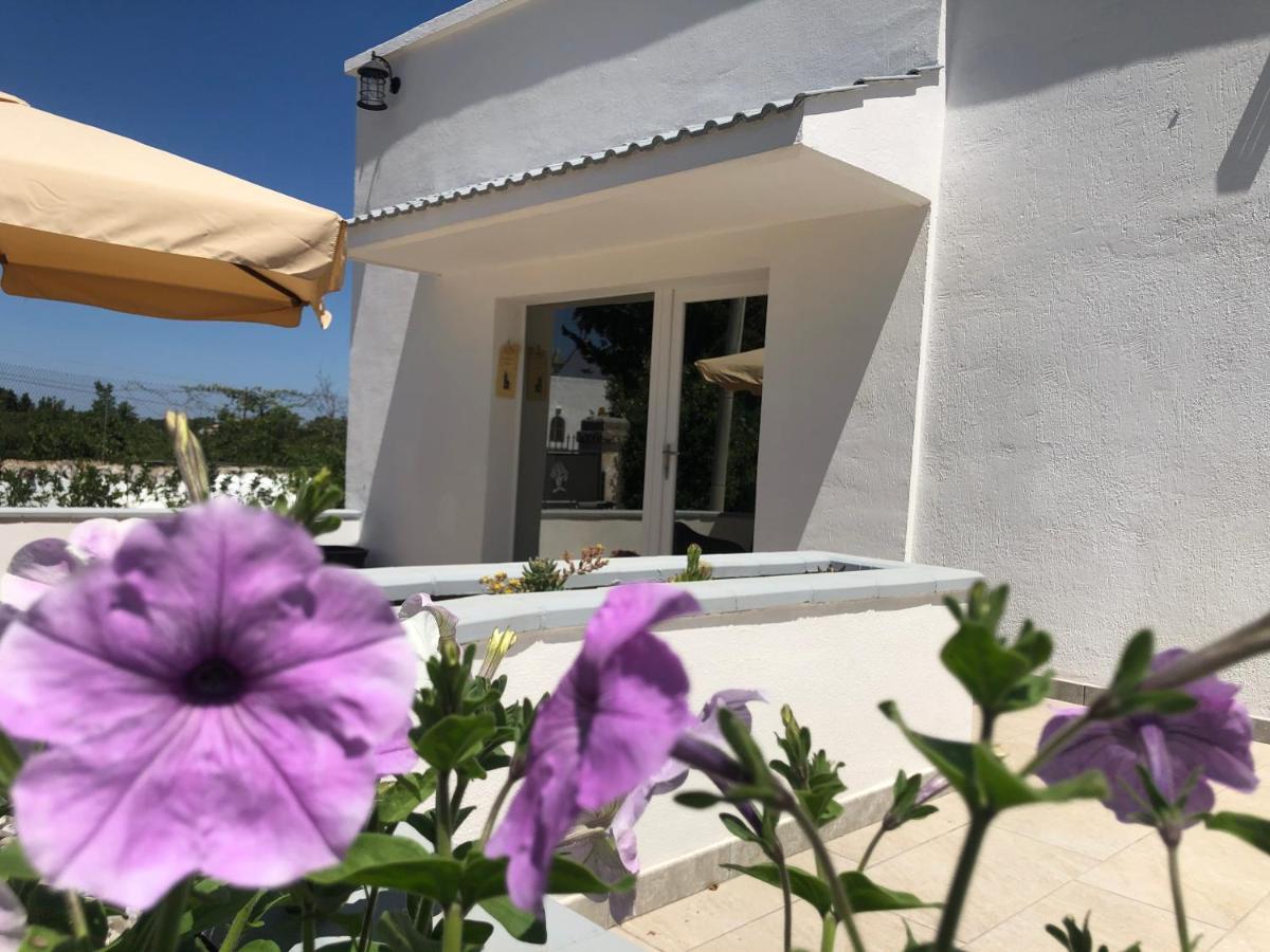 Casa Vacanza I Cedri مارتينا فرانكا المظهر الخارجي الصورة